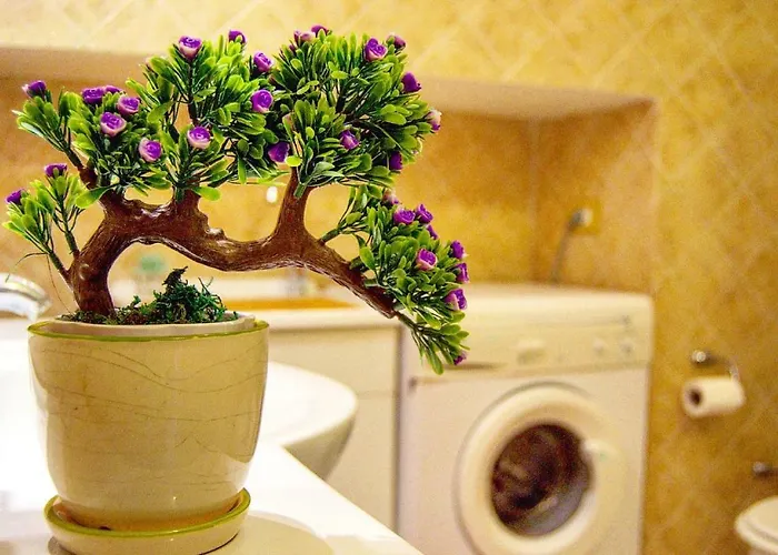 Casa Alessandra - De Vivo Realty Casa vacanze